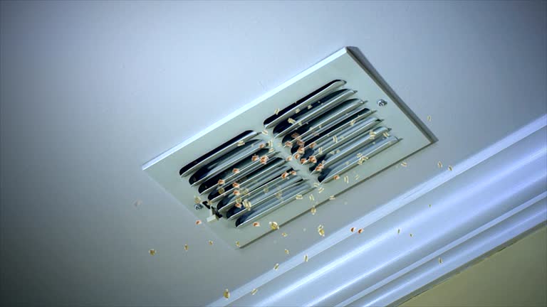 Best Duct Cleaning for Offices  in Frisco City, AL